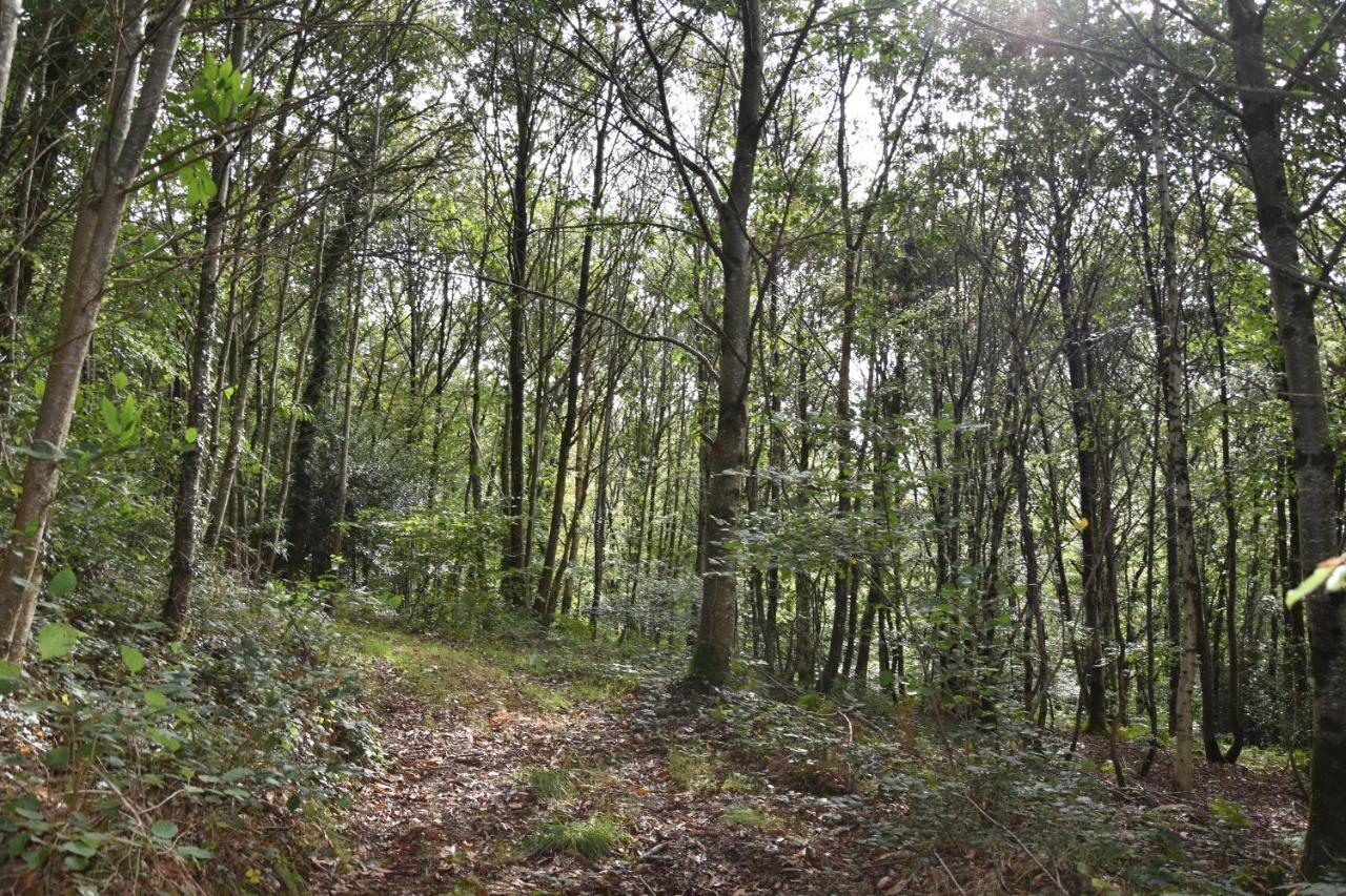 Keryanti Domaine de Lesleac'h Villa Le Ponthou Dış mekan fotoğraf
